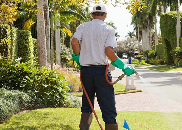About Ballston Lake NY Pest Control
